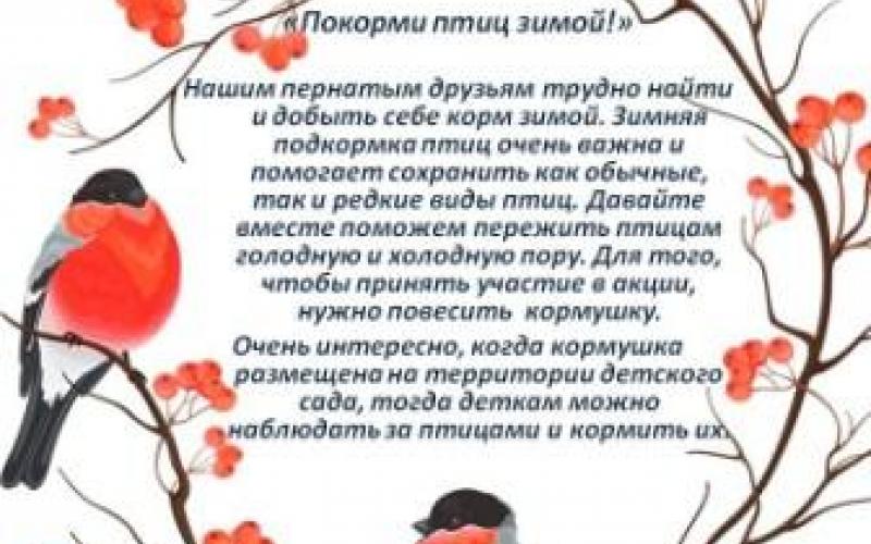 Акция "Покормите птиц зимой!"